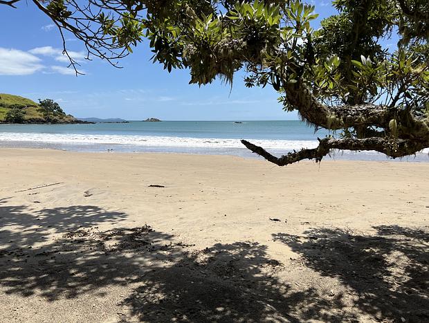 Photo 19 for Casa Playa de los osos | Coopers Beach Sea Views