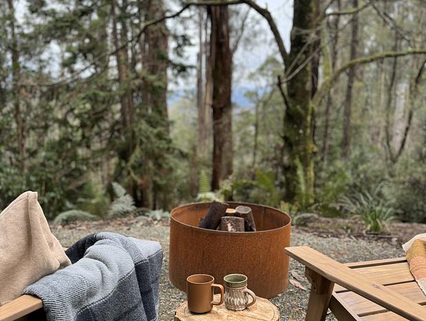 Photo 17 for Enchanting Rainforest Escape on the Black Spur, Yarra Ranges