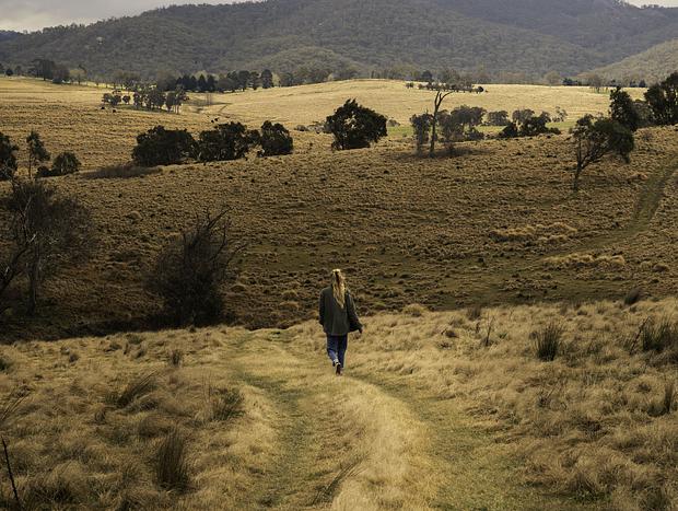 Photo 2 for Wandering to the Creek at Gabarraa