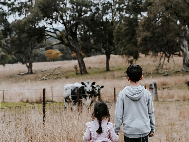 Photo 37 for A Luxury, Dog Friendly Farmstay Between Two Worlds: Mudgee & Rylstone