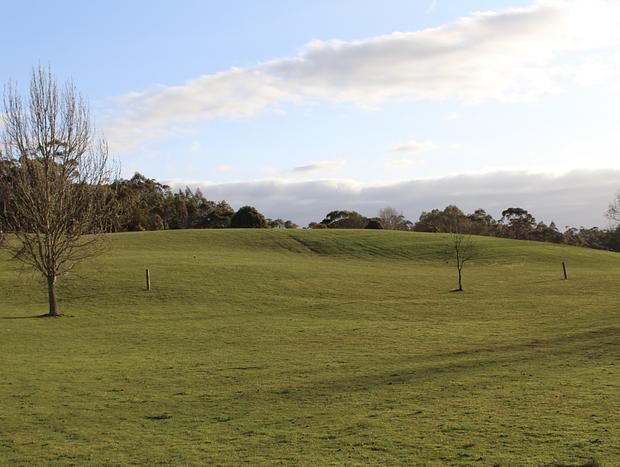 Photo 2 for Kangaroo Spotting at Cardinia Reservoir