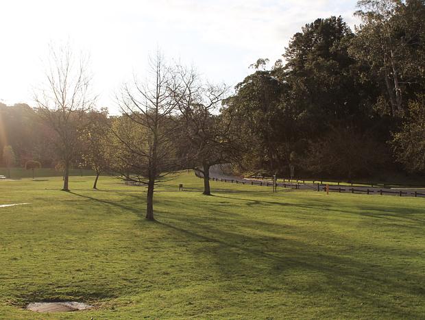 Photo 3 for Kangaroo Spotting at Cardinia Reservoir