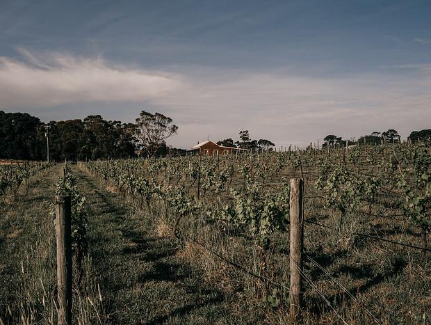 Photo 8 for The Slow Vineyard Cabin