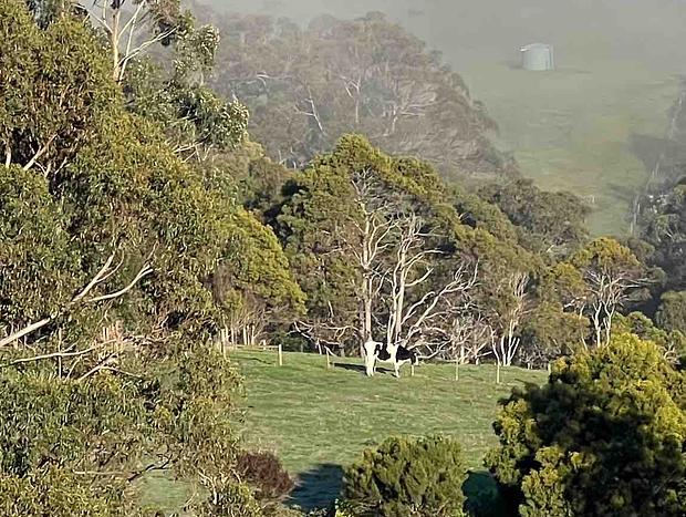Photo 14 for The Stables, Farm Stay