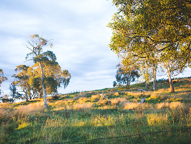 Photo 46 for Hernani Wilderness Hut - WeilHouse Living