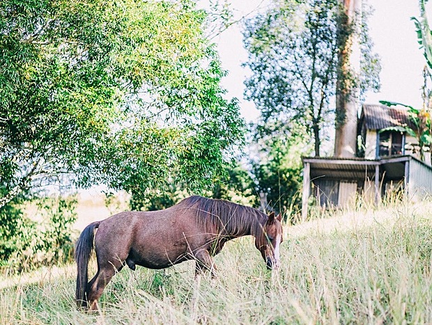 Photo 25 for Bellingen Farm Shed - WeilHouse Living