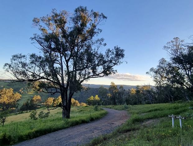 Photo 30 for Black Wattle Cabin - Turon Escape Capertee