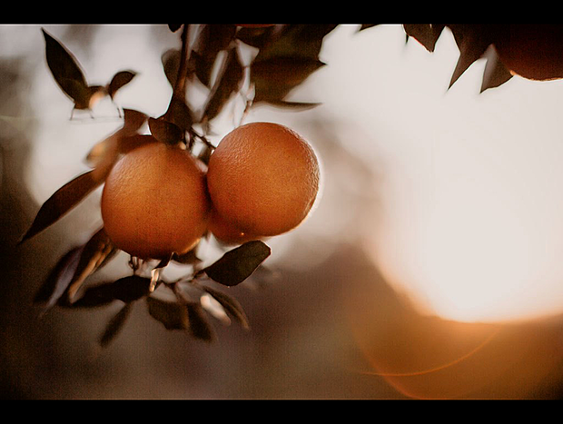 Photo 24 for Bellingen Farm Shed - WeilHouse Living