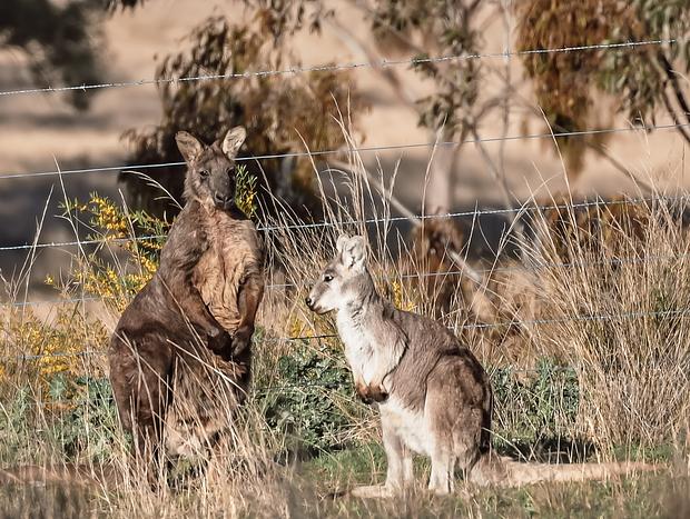 Photo 18 for Myalla Farm - Leave the World Behind