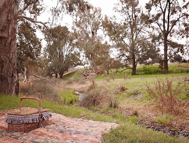 Photo 10 for Wandayali Creek Guesthouse