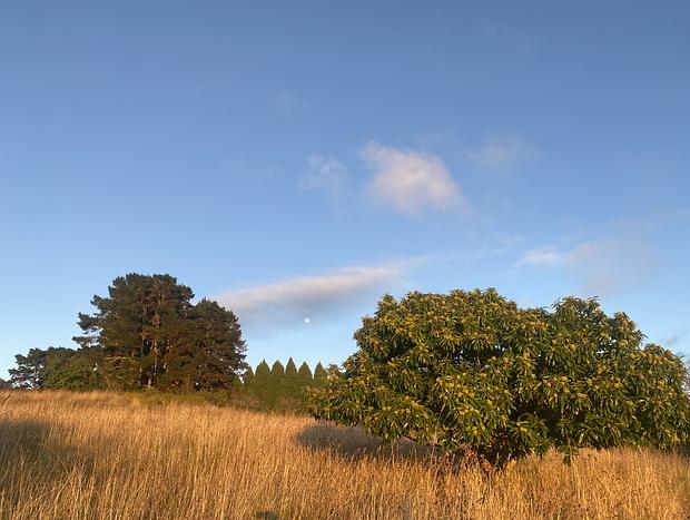 Photo 20 for Idyllic Southern Highlands Escape - Beltane Cottage