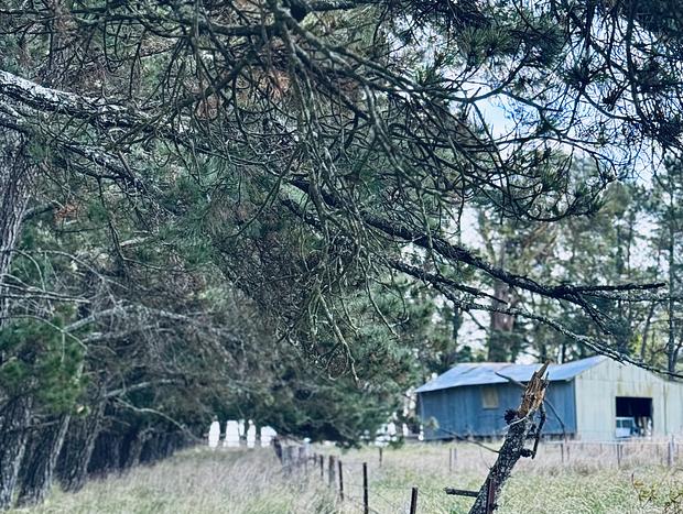 Photo 23 for Idyllic Southern Highlands Escape - Beltane Cottage