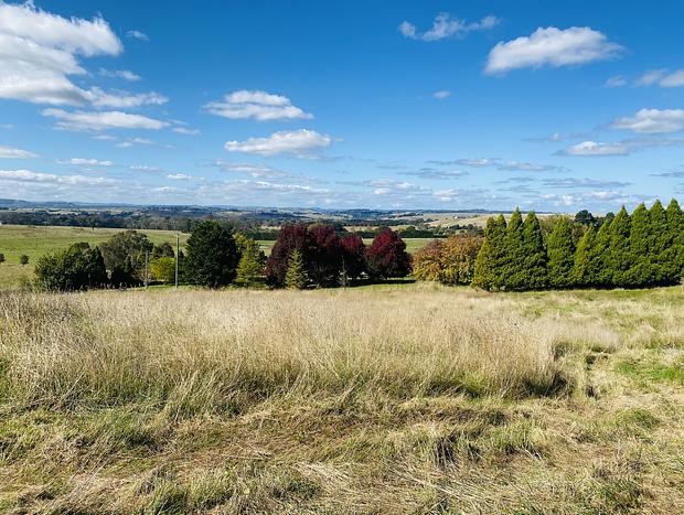Photo 25 for Idyllic Southern Highlands Escape - Beltane Cottage