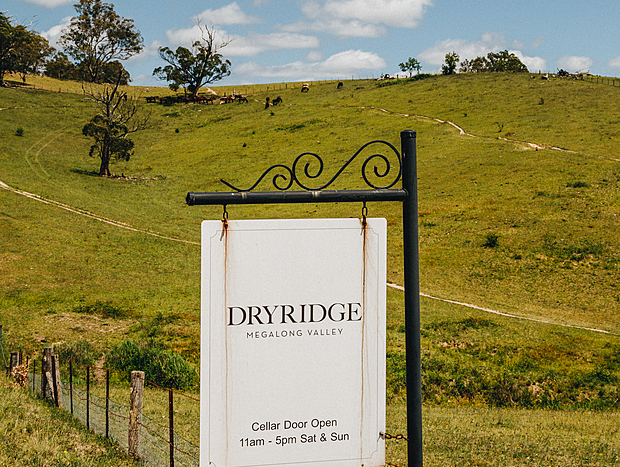 Photo 1 for Wine Tasting At Dryridge Estate