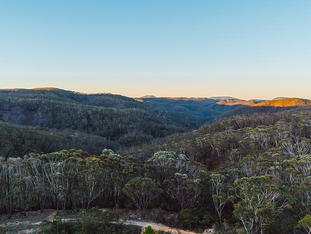 Photo 24 for Pink Velvet Skies in Bushland Whispers