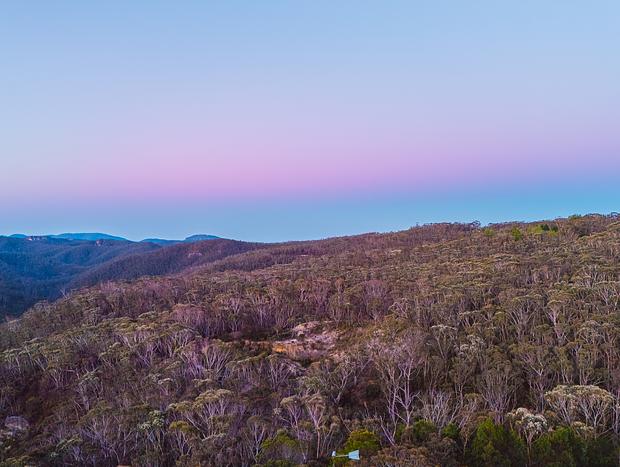 Photo 6 for Pink Velvet Skies in Bushland Whispers
