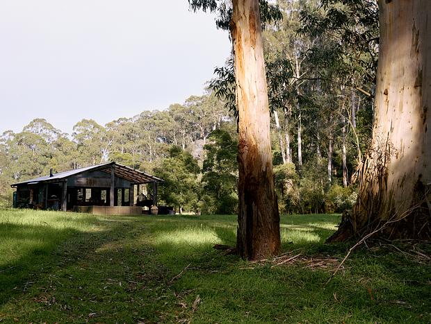 Photo 18 for Whitegum Forest Pod