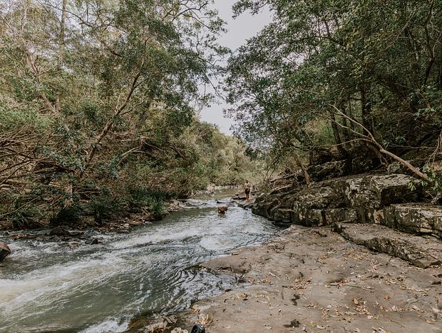 Photo 35 for Wangat River Sanctuary
