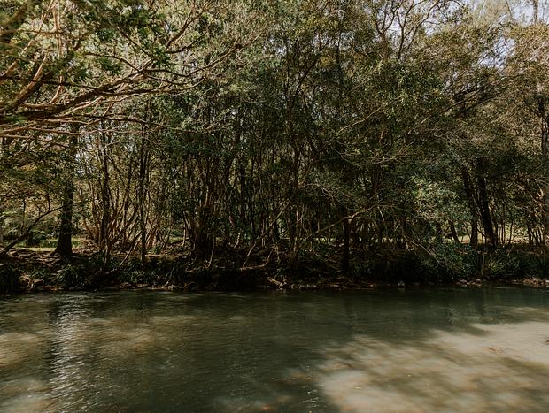 Photo 28 for Wangat River Sanctuary