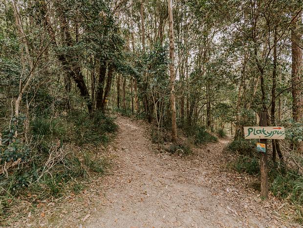Photo 46 for Wangat River Sanctuary