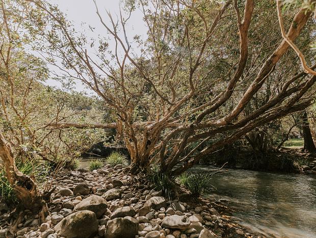 Photo 32 for Wangat River Sanctuary