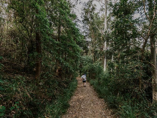Photo 45 for Wangat River Sanctuary