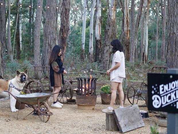 Photo 7 for A Cozy Hideaway Where Time Slows Down