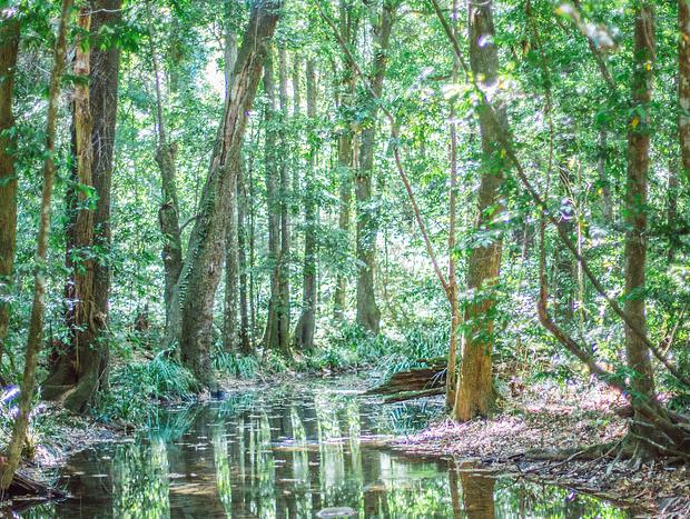 Photo 3 for Private Waterfall Swim & Trail Walk