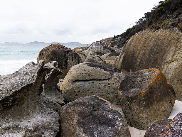 Photo 5 for Wilsons Prom- Tidal River and Squeaky Beach