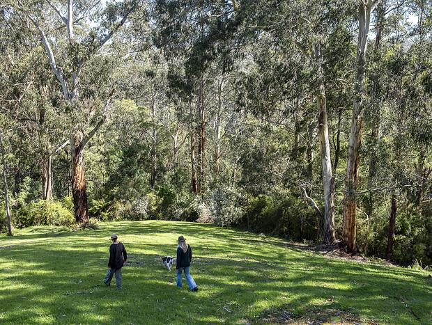 Photo 21 for Whitehawks Cottage in the Otways