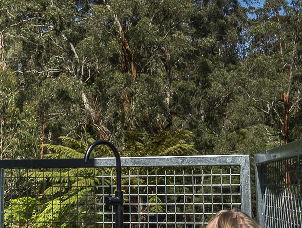 Photo 38 for Whitehawks Cottage in the Otways