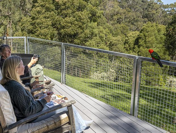 Photo 42 for Whitehawks Cottage in the Otways