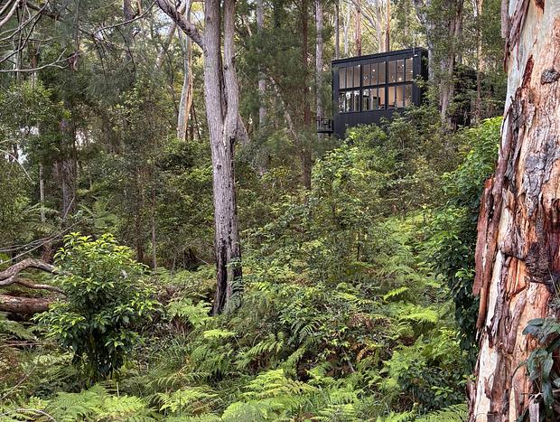 Photo 8 for The Treehouse at Birdcloud
