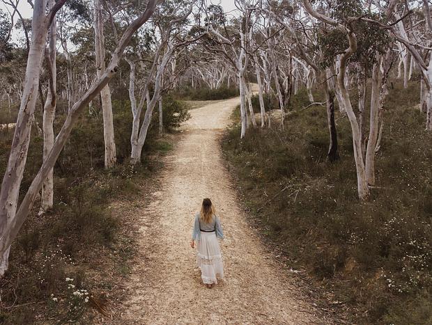 Photo 34 for Serene Stay at Scribbly Farm