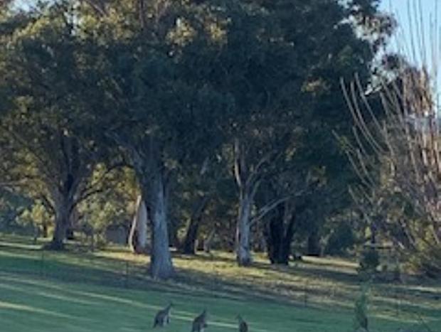 Photo 16 for Red Rattler Retreat, Windeyer near Mudgee
