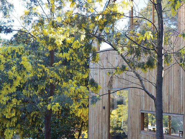 Photo 4 for Hakka Guesthouse Daylesford