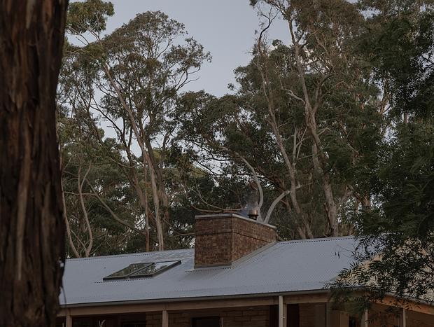 Photo 33 for Wildwood – Stillness Among the Gums
