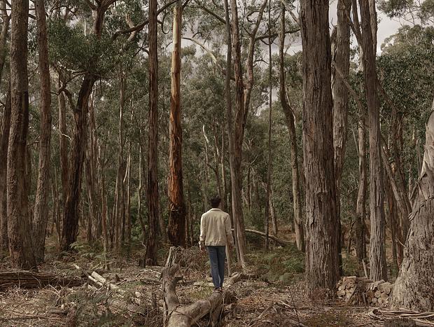Photo 35 for Wildwood – Stillness Among the Gums
