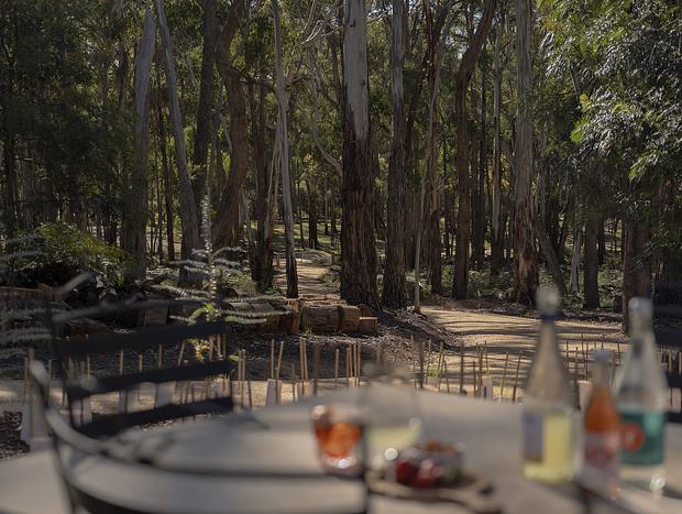 Photo 34 for Wildwood – Stillness Among the Gums