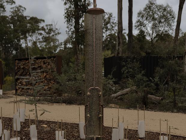 Photo 5 for Wildwood – Stillness Among the Gums