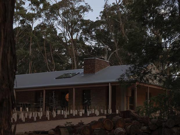 Photo 4 for Wildwood – Stillness Among the Gums