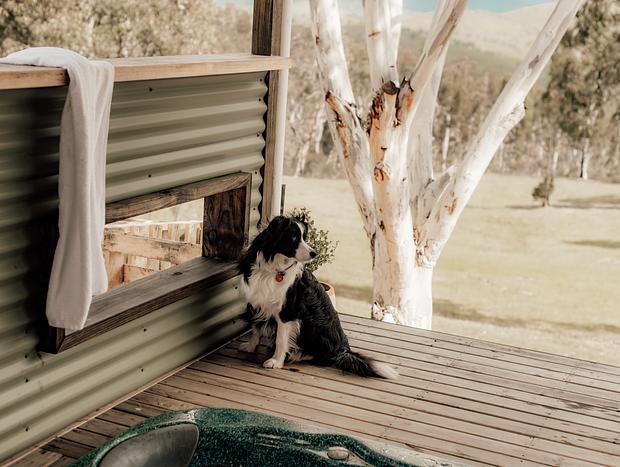 Photo 28 for Watching Brumbies from the Hot Tub