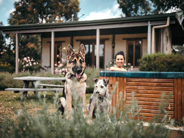 Photo 7 for A Place for the Whole Pack