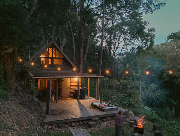 Photo 4 for Tallowwood Cabin hidden in the rainforest