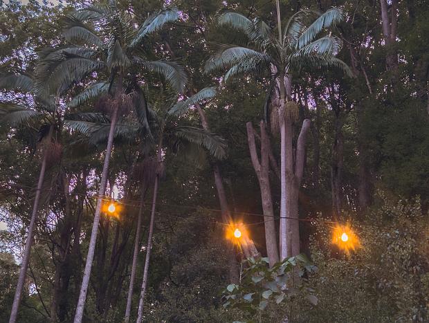 Photo 9 for Tallowwood Cabin hidden in the rainforest