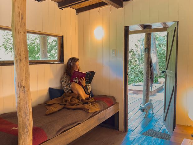 Photo 14 for Tallowwood Cabin hidden in the rainforest