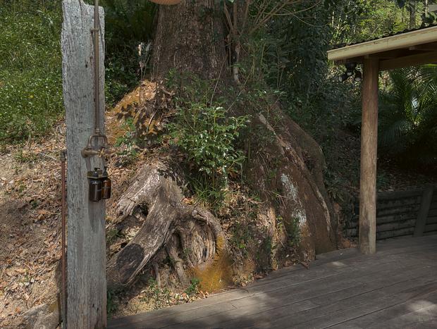 Photo 33 for Tallowwood Cabin hidden in the rainforest