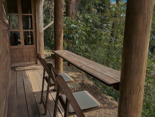 Photo 8 for Tallowwood Cabin hidden in the rainforest