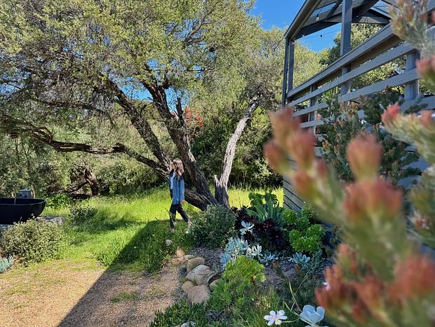 Photo 28 for Bushland Hideaway with Cinematic Outdoor Living
