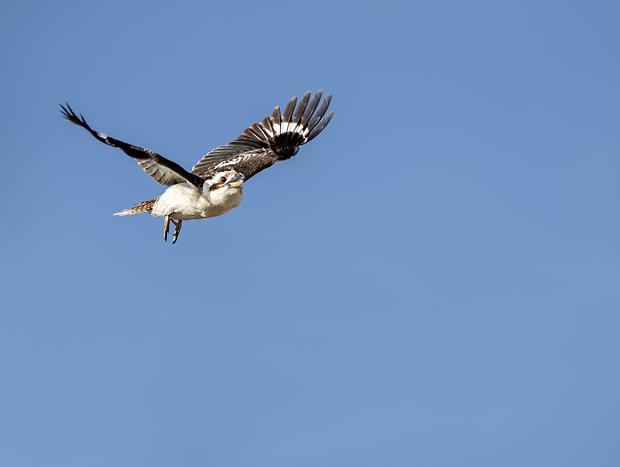 Photo 3 for Bird Watching